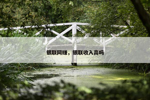 银联网赚，银联收入高吗