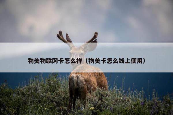 物美物联网卡怎么样（物美卡怎么线上使用）