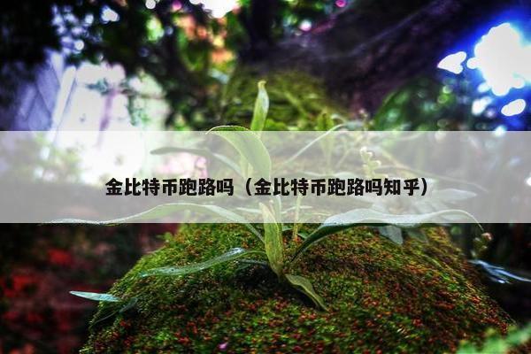 金比特币跑路吗（金比特币跑路吗知乎）