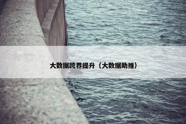 大数据跨界提升（大数据助推）