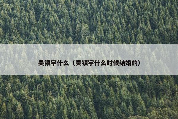 吴镇宇什么（吴镇宇什么时候结婚的）