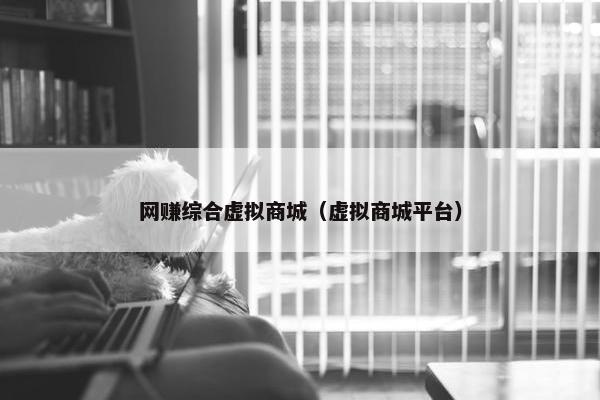 网赚综合虚拟商城（虚拟商城平台）