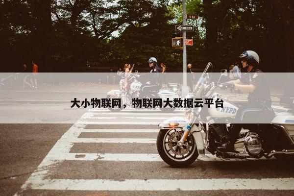 大小物联网，物联网大数据云平台