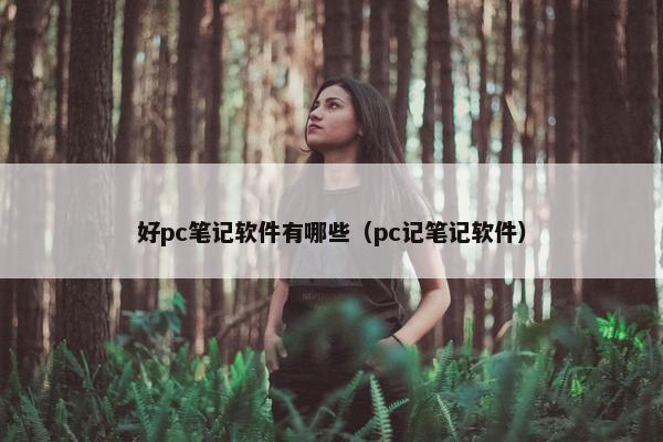 好pc笔记软件有哪些（pc记笔记软件）