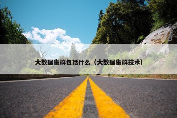 大数据集群包括什么（大数据集群技术）