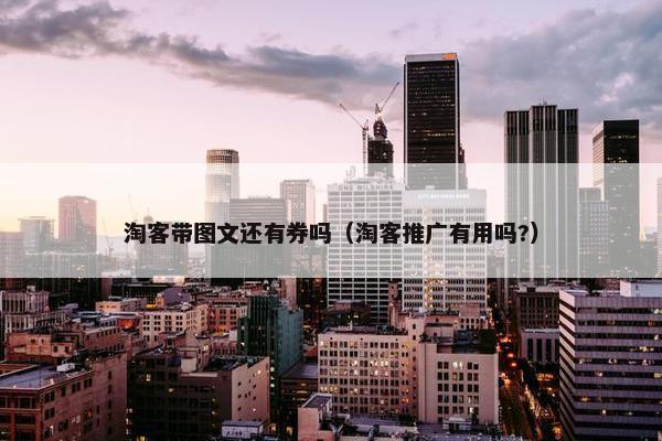 淘客带图文还有券吗（淘客推广有用吗?）