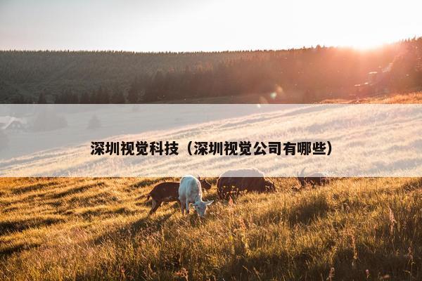 深圳视觉科技（深圳视觉公司有哪些）
