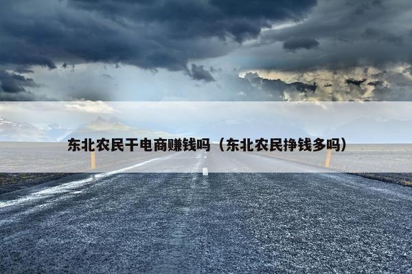 东北农民干电商赚钱吗（东北农民挣钱多吗）