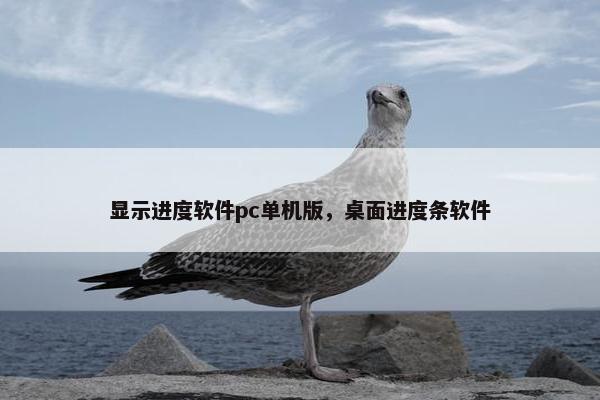 显示进度软件pc单机版，桌面进度条软件