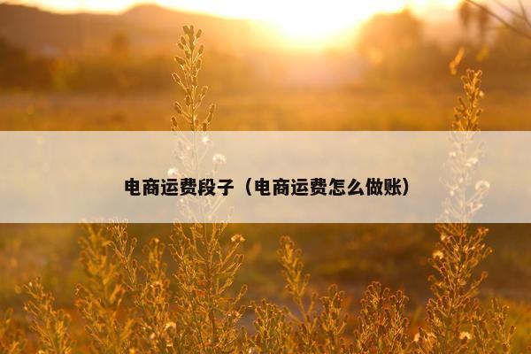 电商运费段子（电商运费怎么做账）