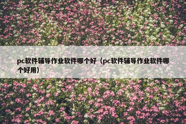 pc软件辅导作业软件哪个好（pc软件辅导作业软件哪个好用）