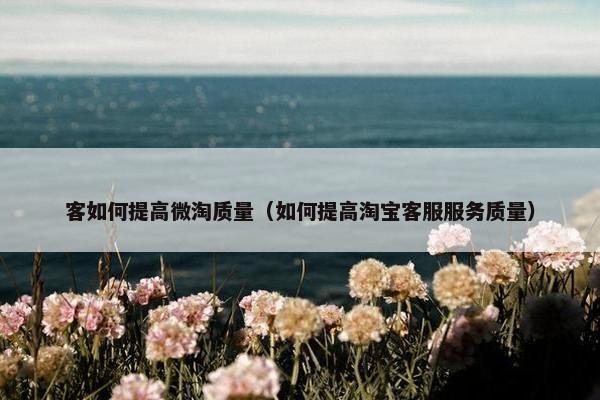客如何提高微淘质量（如何提高淘宝客服服务质量）