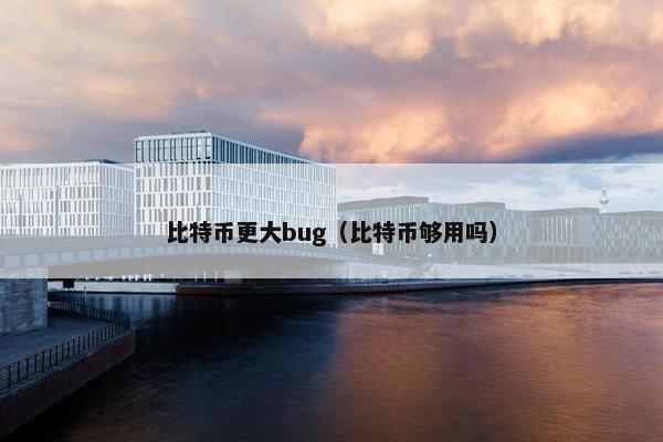 比特币更大bug（比特币够用吗）