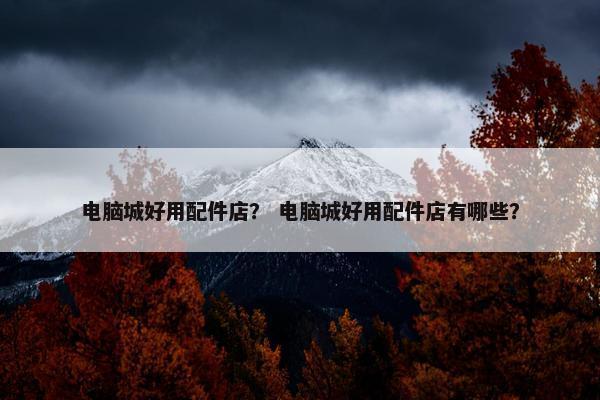 电脑城好用配件店？ 电脑城好用配件店有哪些？