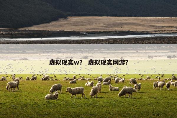 虚拟现实w？ 虚拟现实网游？