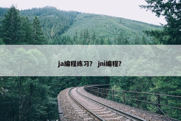 ja编程练习？ jni编程？