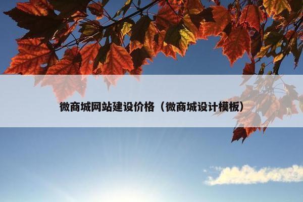 微商城网站建设价格（微商城设计模板）