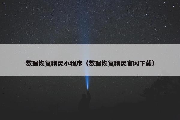 数据恢复精灵小程序（数据恢复精灵官网下载）