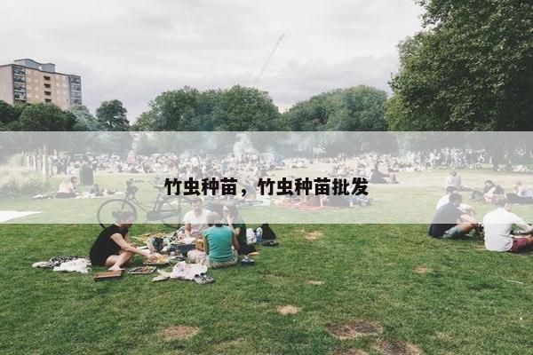 竹虫种苗，竹虫种苗批发