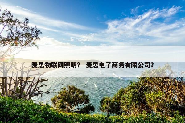 麦思物联网照明？ 麦思电子商务有限公司？