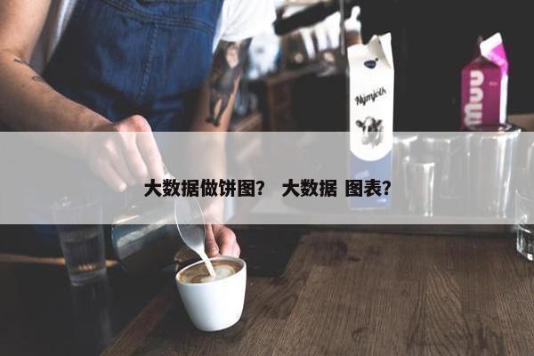 大数据做饼图？ 大数据 图表？