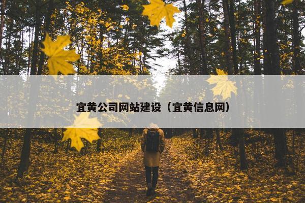 宜黄公司网站建设（宜黄信息网）