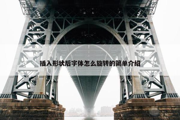 插入形状后字体怎么旋转的简单介绍