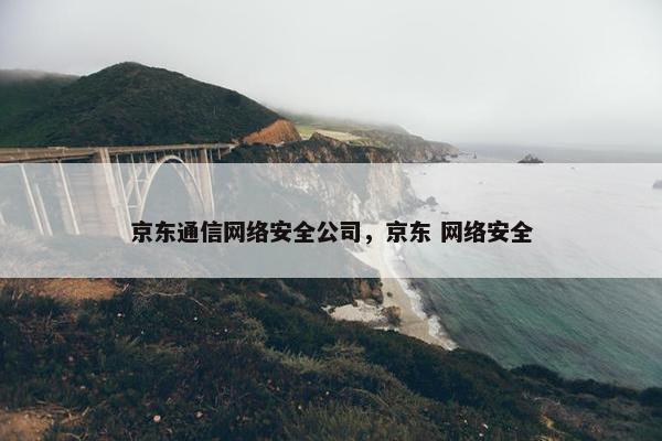 京东通信网络安全公司，京东 网络安全