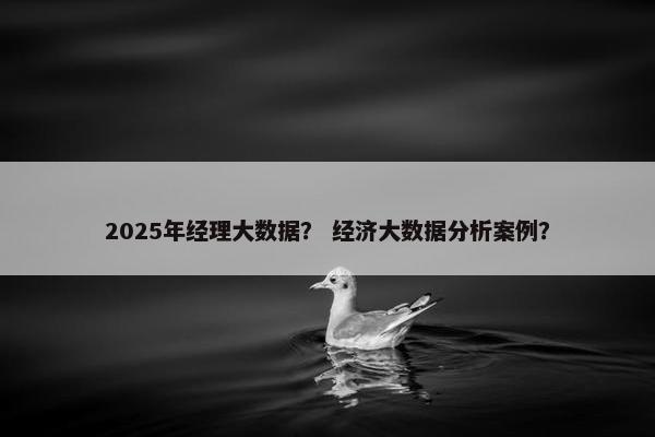 2025年经理大数据？ 经济大数据分析案例？