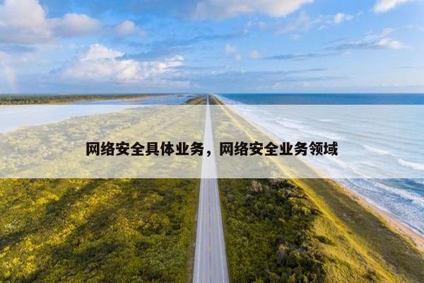 网络安全具体业务，网络安全业务领域