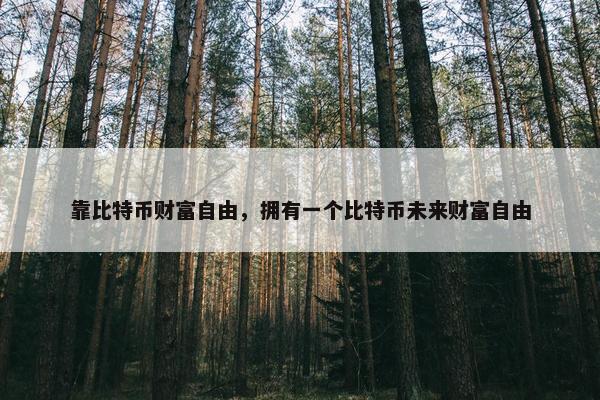 靠比特币财富自由，拥有一个比特币未来财富自由