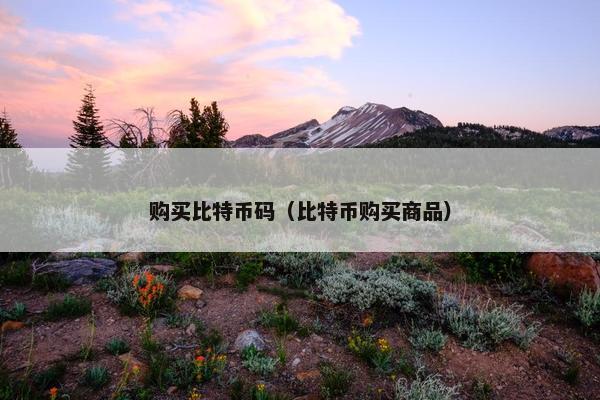 购买比特币码（比特币购买商品）