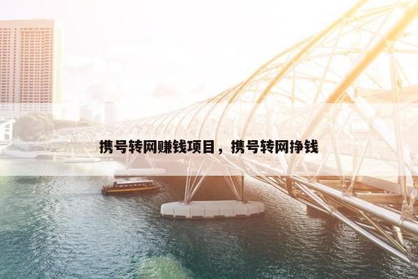 携号转网赚钱项目，携号转网挣钱