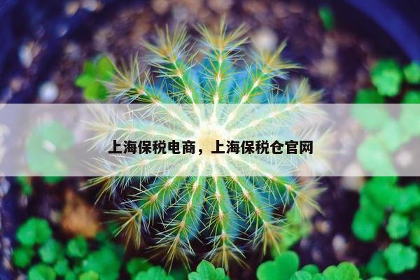 上海保税电商，上海保税仓官网