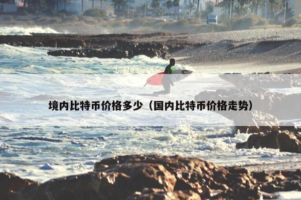 境内比特币价格多少（国内比特币价格走势）