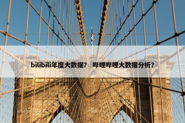 bilibili年度大数据？ 哔哩哔哩大数据分析？