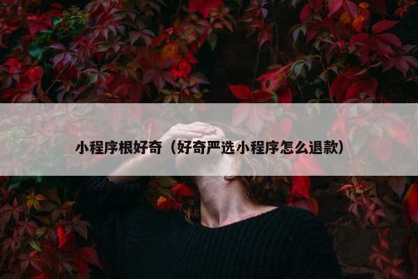小程序根好奇（好奇严选小程序怎么退款）