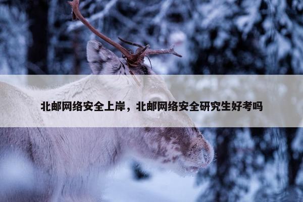 北邮网络安全上岸，北邮网络安全研究生好考吗