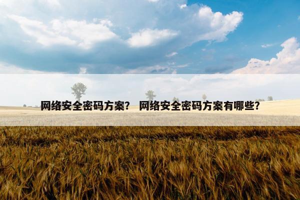 网络安全密码方案？ 网络安全密码方案有哪些？