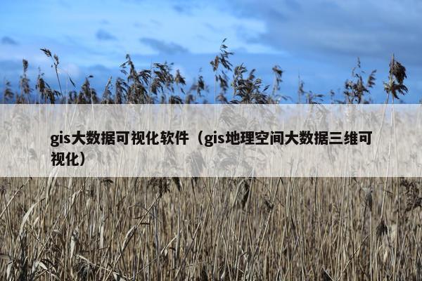 gis大数据可视化软件（gis地理空间大数据三维可视化）