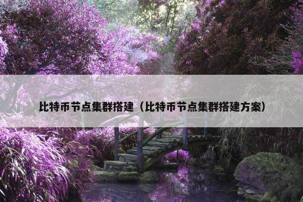 比特币节点集群搭建（比特币节点集群搭建方案）