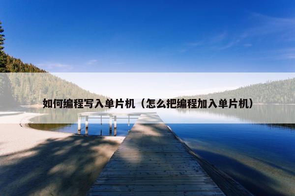 如何编程写入单片机（怎么把编程加入单片机）
