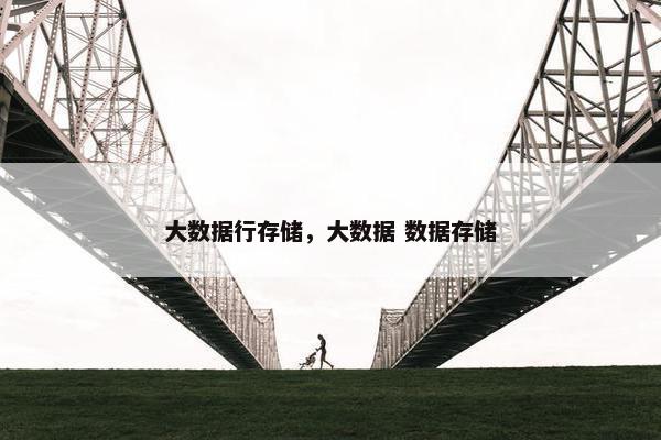 大数据行存储，大数据 数据存储
