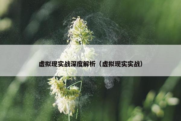 虚拟现实战深度解析（虚拟现实实战）
