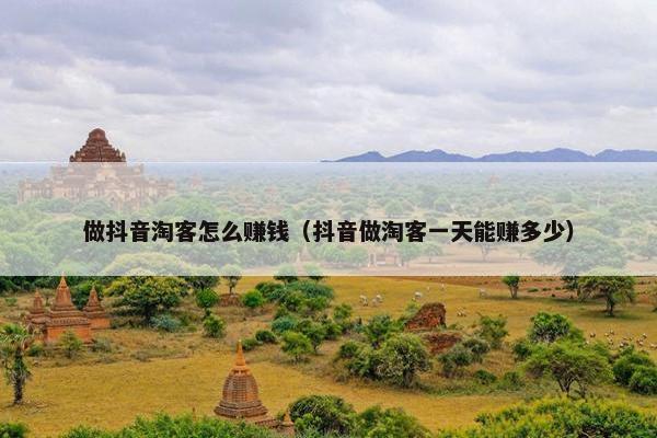 做抖音淘客怎么赚钱（抖音做淘客一天能赚多少）