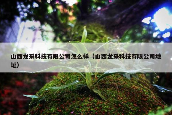 山西龙采科技有限公司怎么样（山西龙采科技有限公司地址）