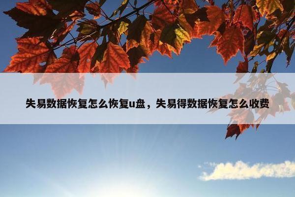 失易数据恢复怎么恢复u盘，失易得数据恢复怎么收费