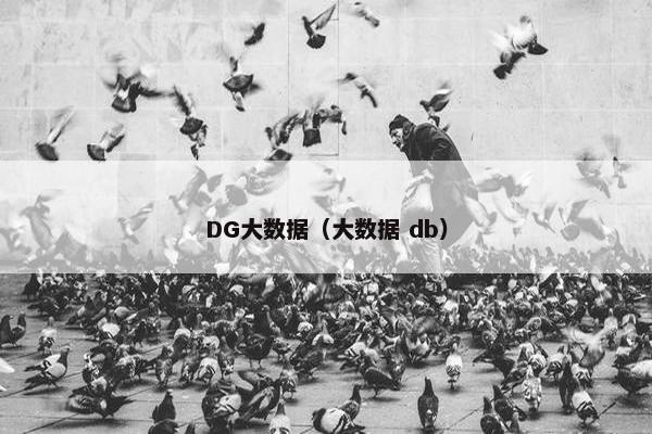 DG大数据（大数据 db）