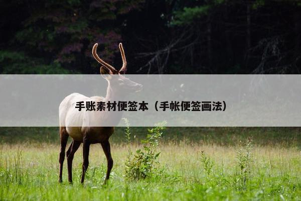 手账素材便签本（手帐便签画法）