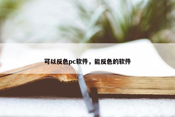 可以反色pc软件，能反色的软件